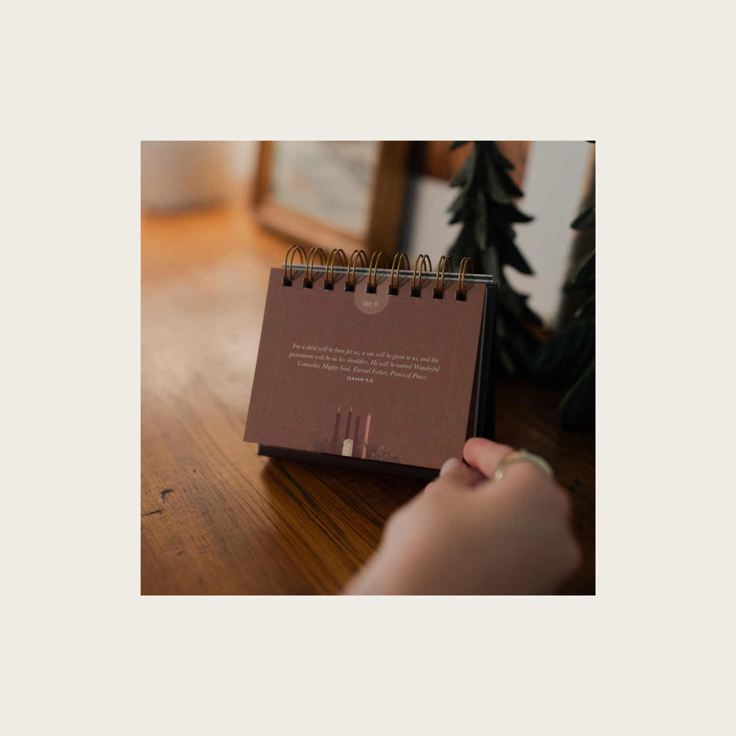 The Wonder of His Love: Daily Encouragement Flip Calendar For the Advent Season