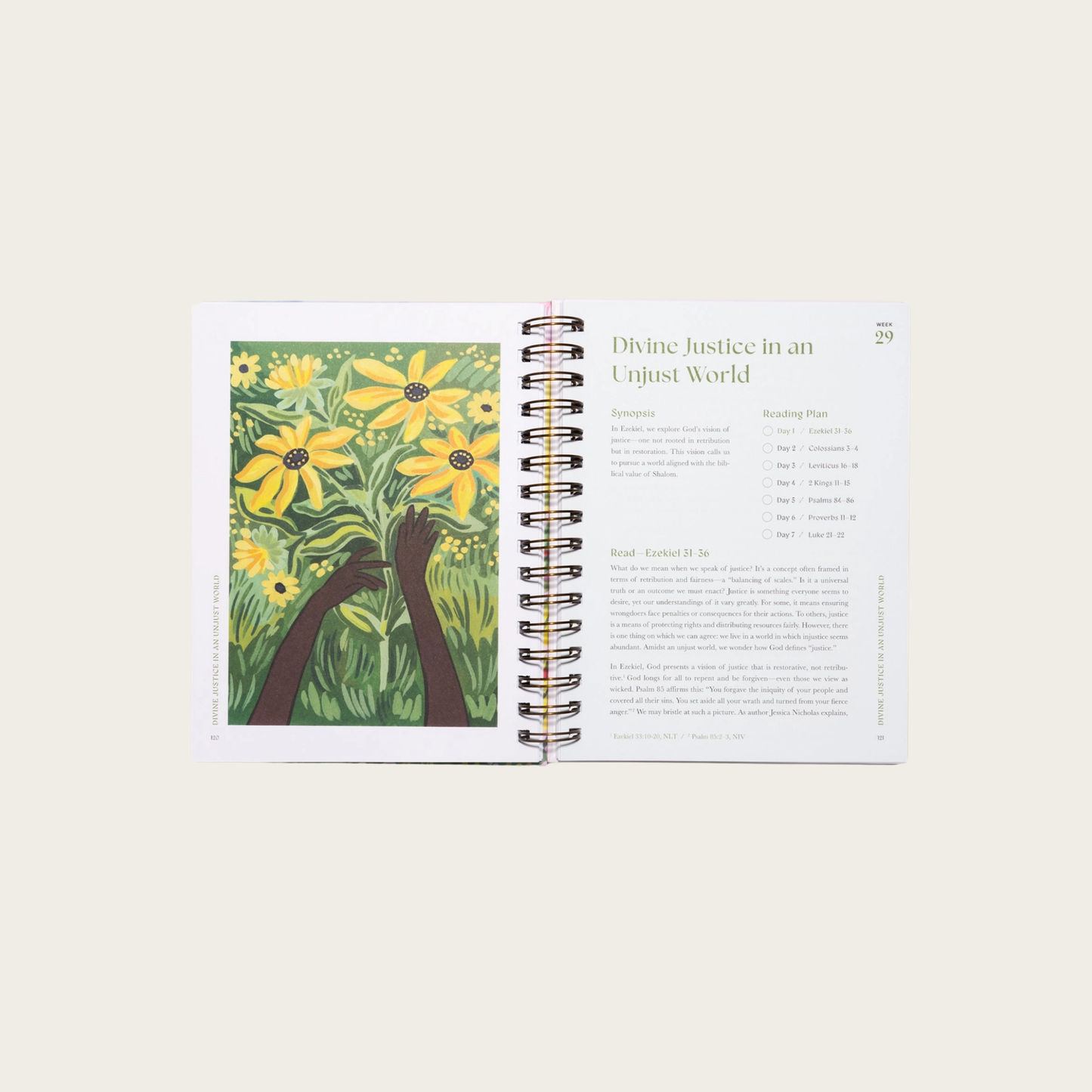 Year in the Bible: The 52-Week Bible Study for Women